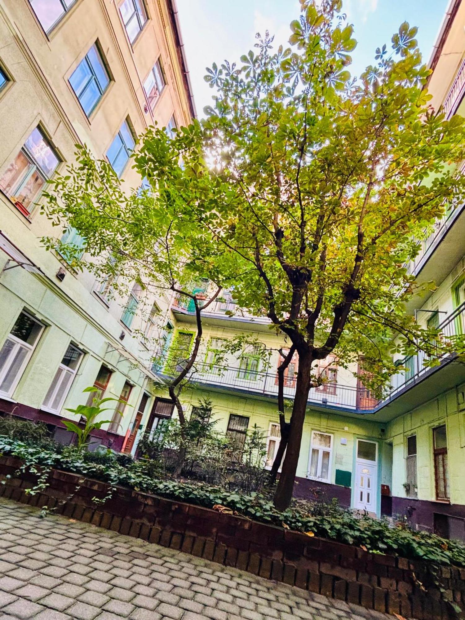 Ava Central Residence Budapest Esterno foto